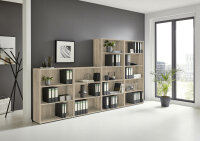 BMG Möbel Regalwand, Office Edition Set 5, Regal...