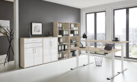 BMG Möbel Büromöbel-Set, e-Office Edition...