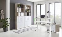 BMG Möbel Büromöbel-Set, e-Office Edition...