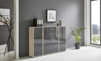 BMG Möbel Regalwand/Schrankwand, Office Edition Set...