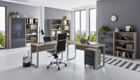 BMG Möbel Büromöbel-Set, Office Edition...