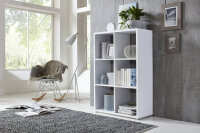 BMG Möbel Standregal, NIZZA, Aktenregal,...