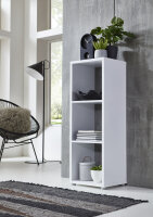 BMG Möbel Standregal, NIZZA, Aktenregal,...